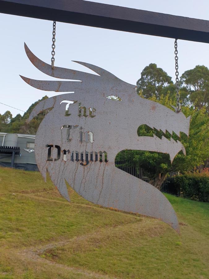 The Tin Dragon